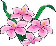 flower clipart 747778