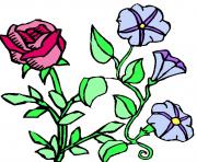 flower clipart 856620