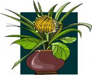 flower clipart 661234