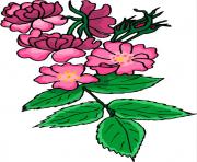 flower clipart 710987