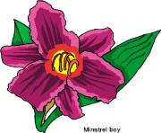 flower clipart 764184