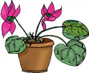 flower clipart 737807