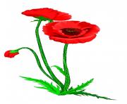 flower clipart 762203