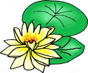 flower clipart 815557