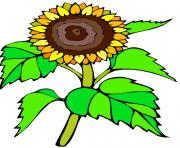 flower clipart 846258