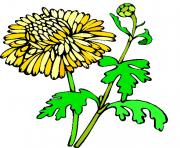 flower clipart 928860