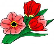 flower clipart 203656