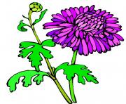 flower clipart 308121