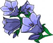 flower clipart 460667