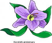 flower clipart 983310