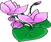 flower clipart 210474