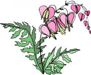 flower clipart 383628