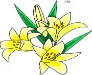 flower clipart 496293