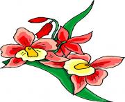 flower clipart 094886