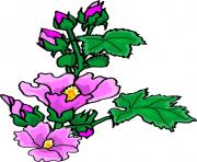 flower clipart 527743