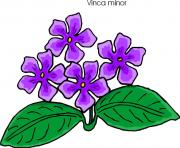 flower clipart 869084