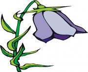 flower clipart 346703