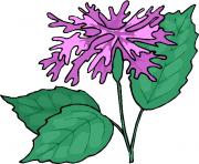 flower clipart 096630