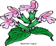 flower clipart 504886