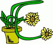 flower clipart 584536