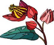 flower clipart 046834