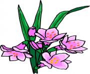 flower clipart 380016