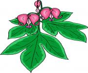 flower clipart 405319