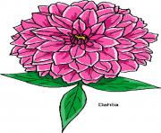 flower clipart 932047