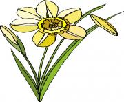 flower clipart 600973