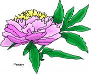 flower clipart 106785