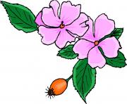 flower clipart 133804