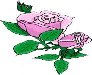 flower clipart 351901