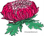 flower clipart 174705