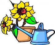 flower clipart 203707