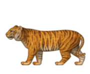 ios emoji tiger