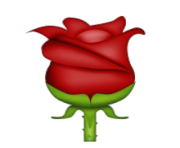 ios emoji rose