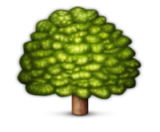 ios emoji deciduous tree