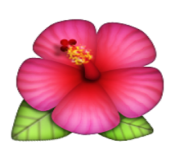 ios emoji hibiscus