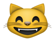 ios emoji grinning cat face with smiling eyes