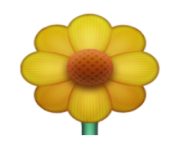 ios emoji blossom