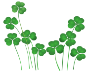 Shamrock saint patricks day clipart love you sweetheart