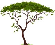 Exotic Tree PNG Clip Art