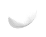 simple white feaher png