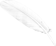 white feaher png