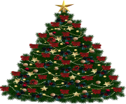 fir tree png transparent 2476