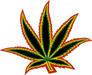 Cannabis leaf multicolor