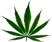 Cannabis leaf png hd