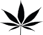 A Black Silhouetted Cannabis Pot Leaf