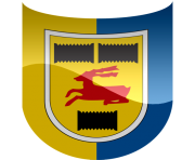 cambuur leeuwarden football logo png