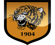 hull city